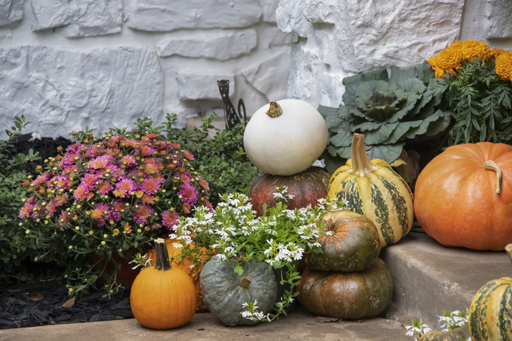5 Tips to Help You Transition Your Home from Summer to Fall