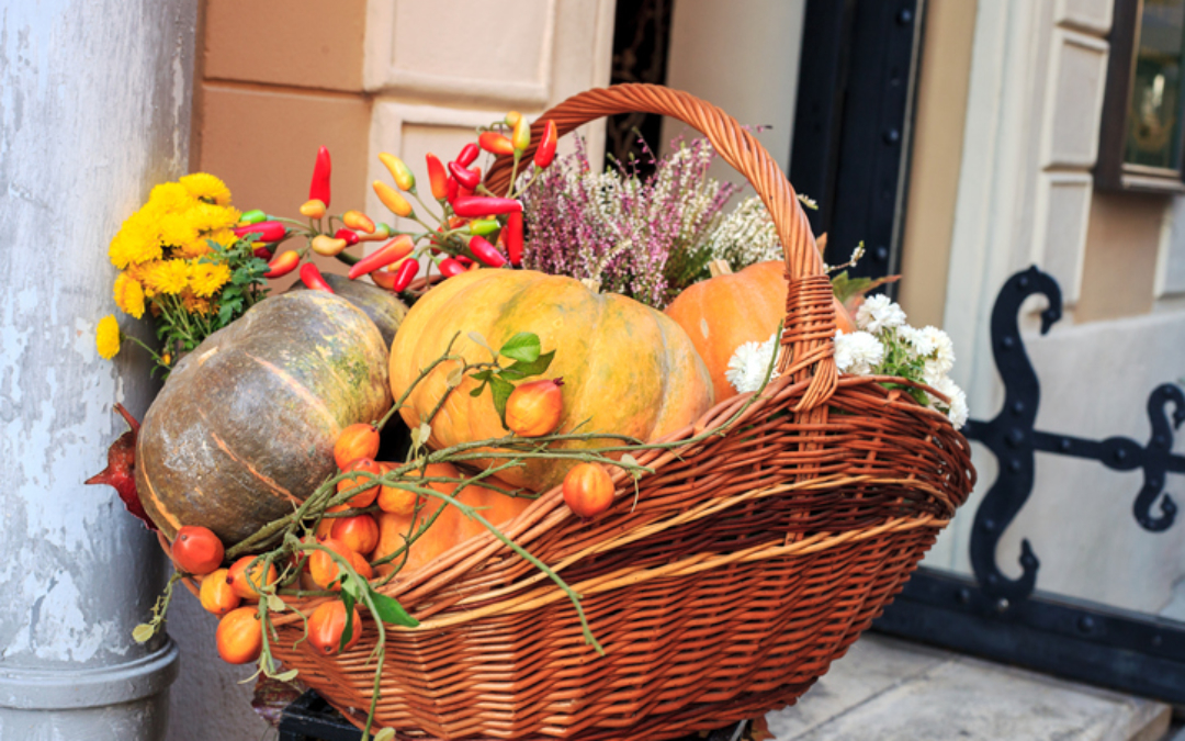 Fun Fall Container Ideas