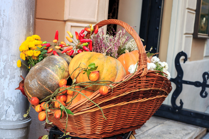 Fun Fall Container Ideas